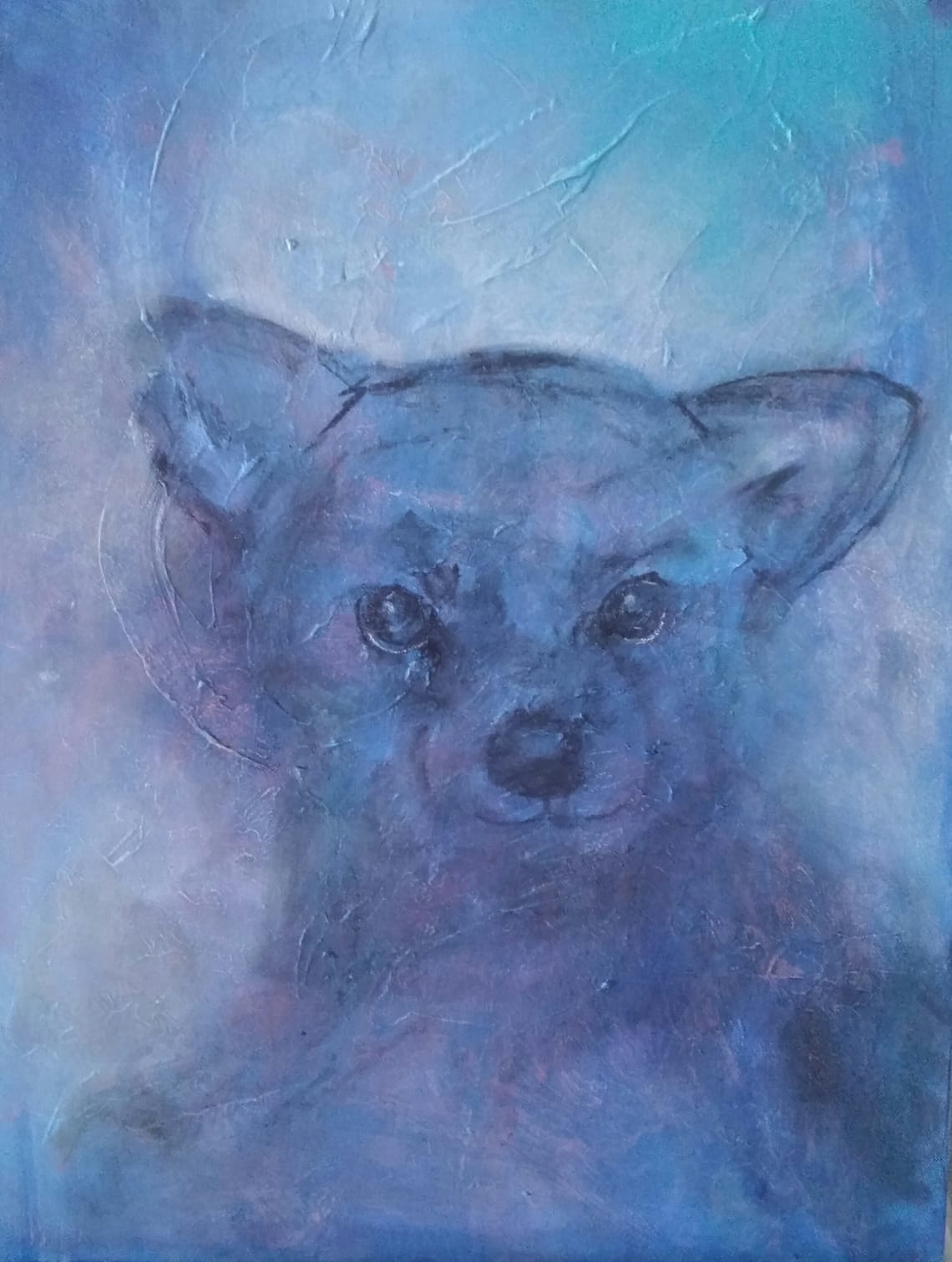 Valp/ Puppy