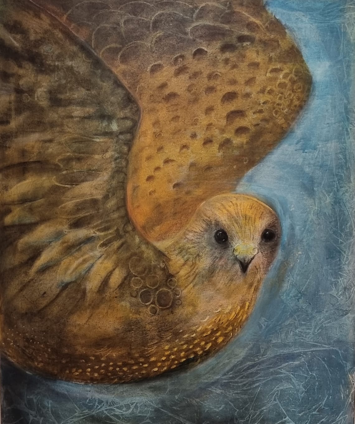 "Come fly with me" 90 x 70