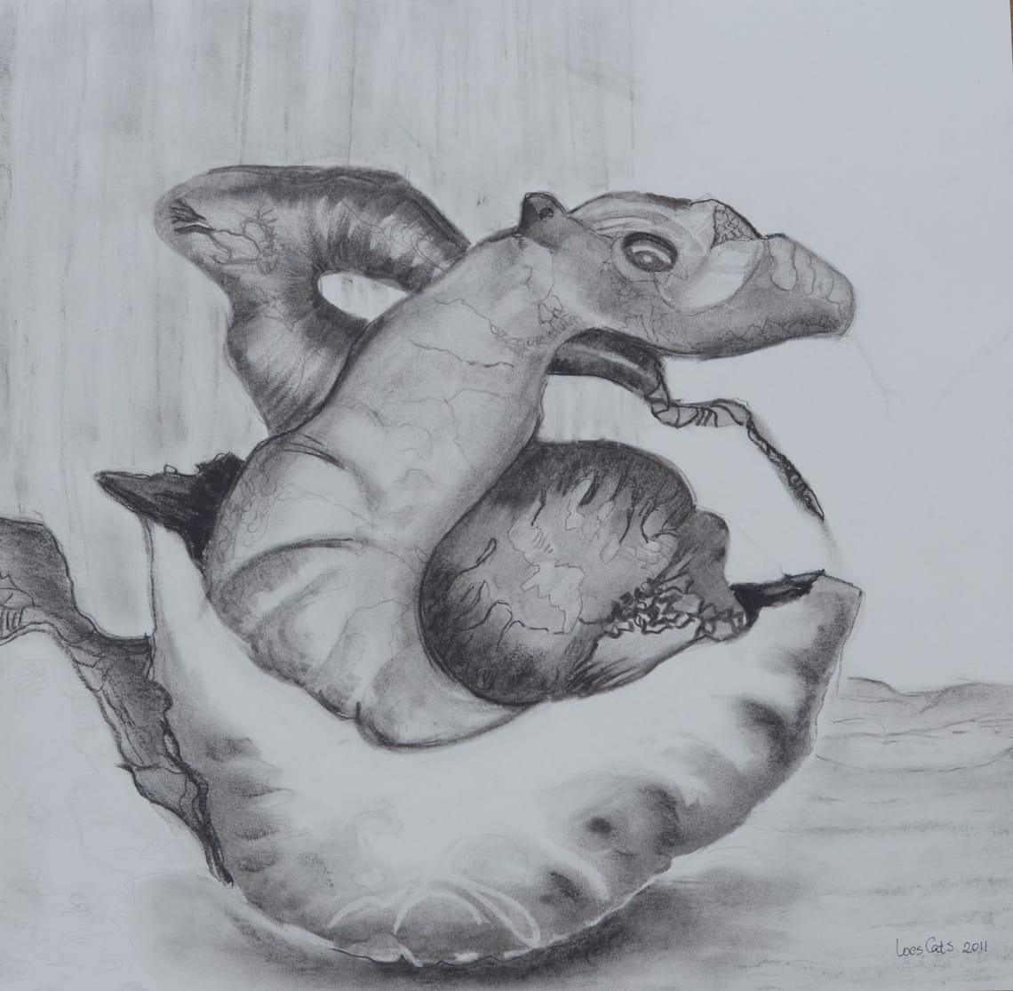 Ormen/ Worm