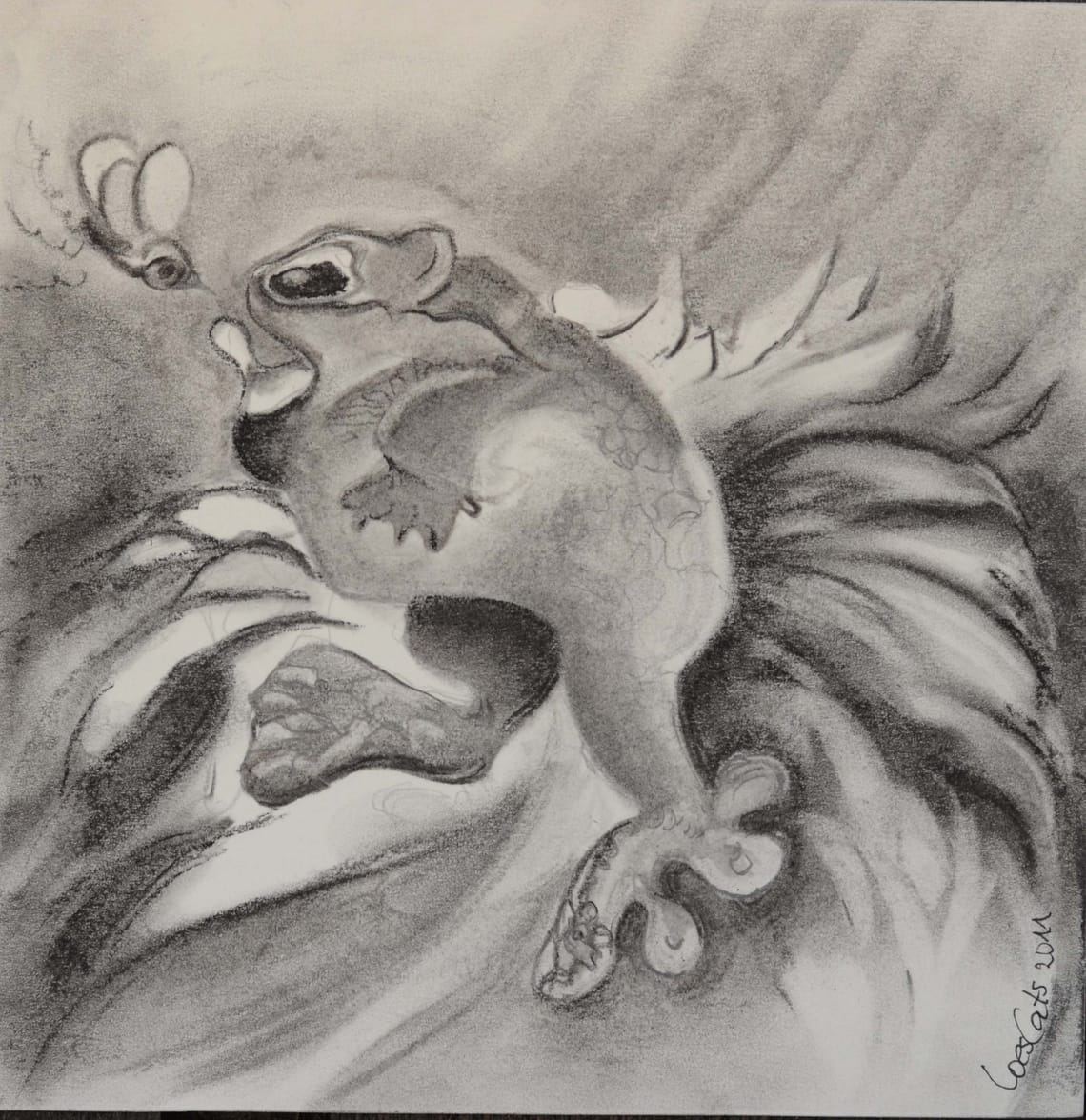 Frosken/ Frog