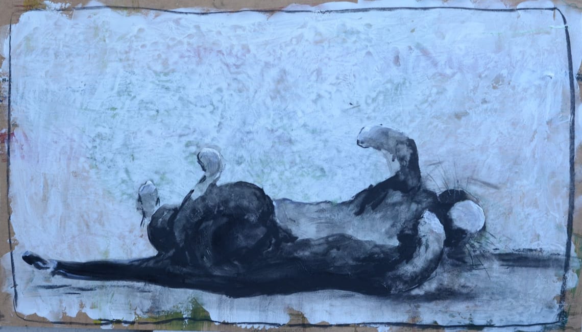 Katten 3 / Cat 3