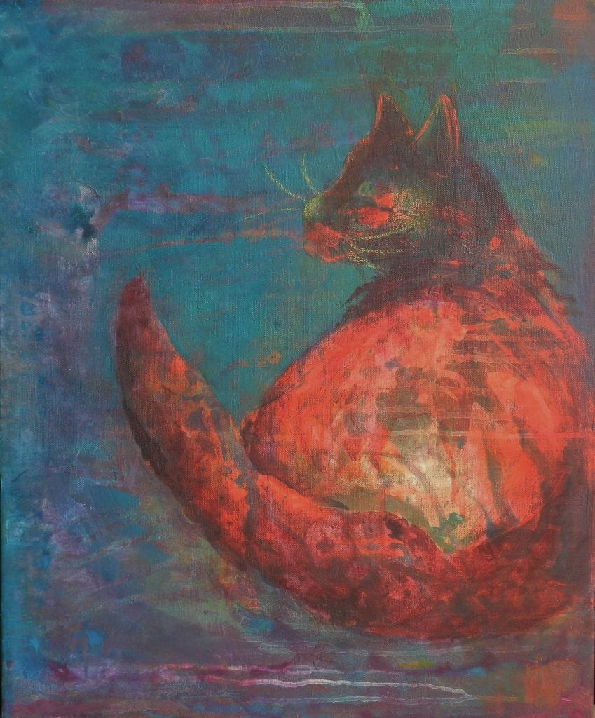 Katten 4 / Cat 4