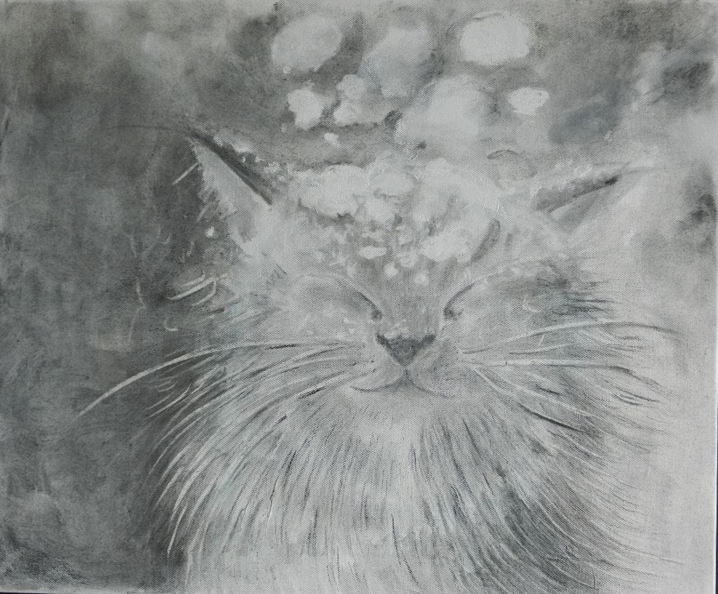 Vinterkatt / Winter cat