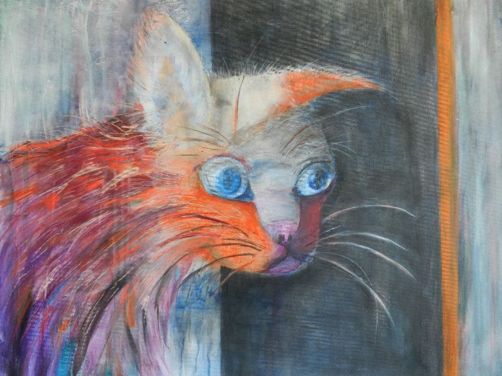 Crazy cat