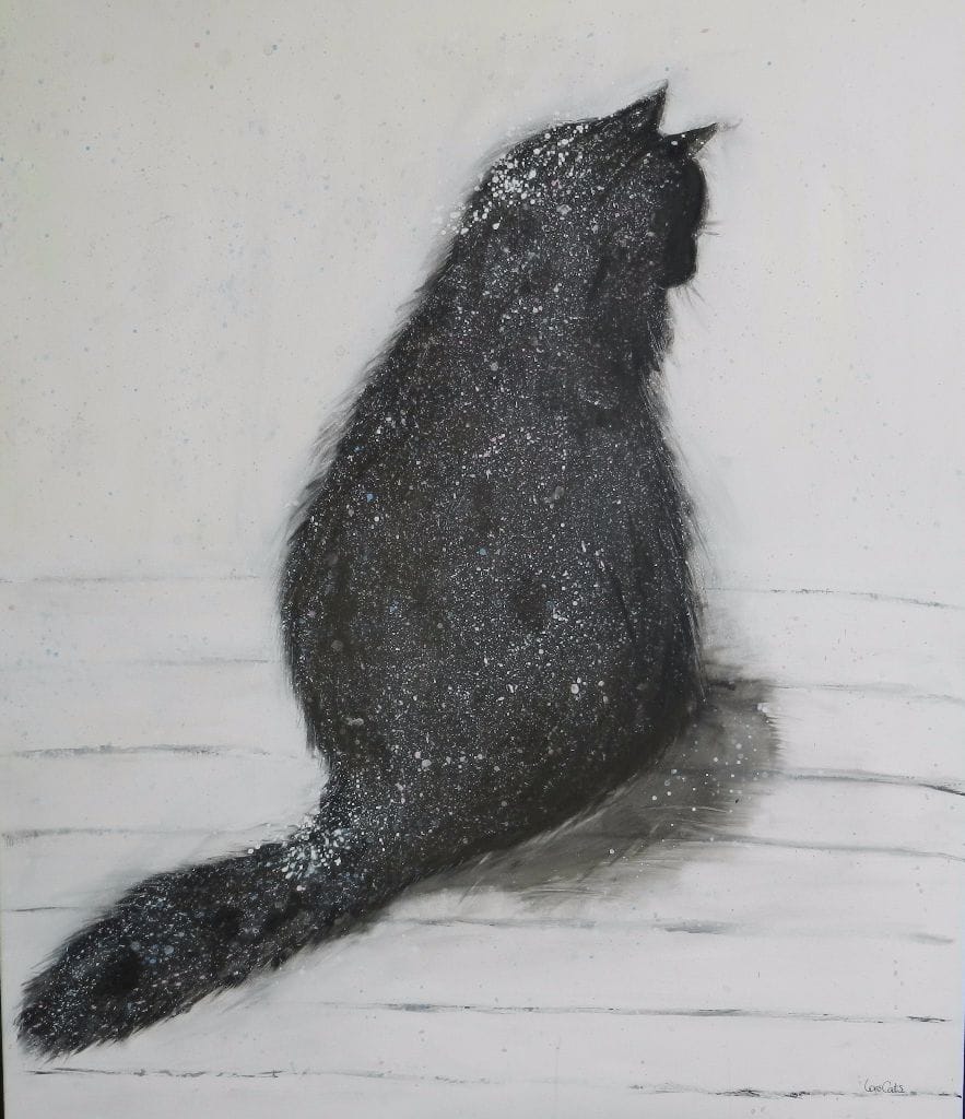Snø-katt / snow-cat