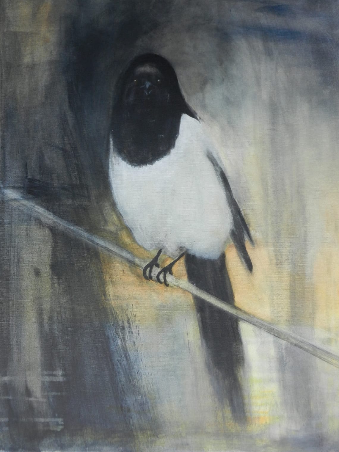 Skjæra 2/ Magpie 2