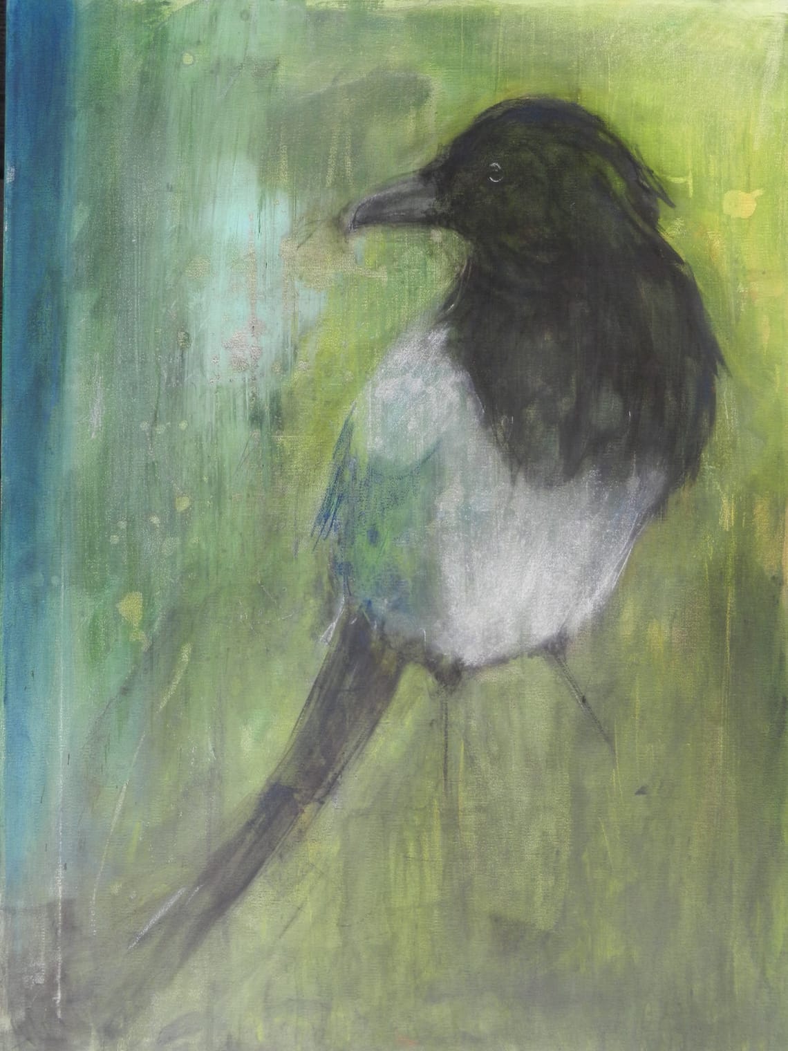 Skjæra/ Magpie
