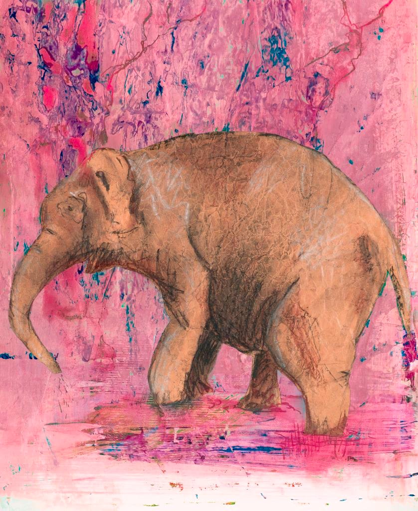 Vann for elefanten / Water for the  elephant
