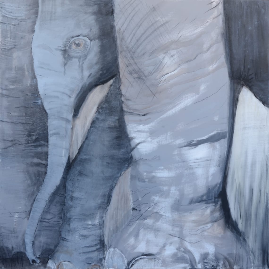 Grå elefant/ Grey elephant