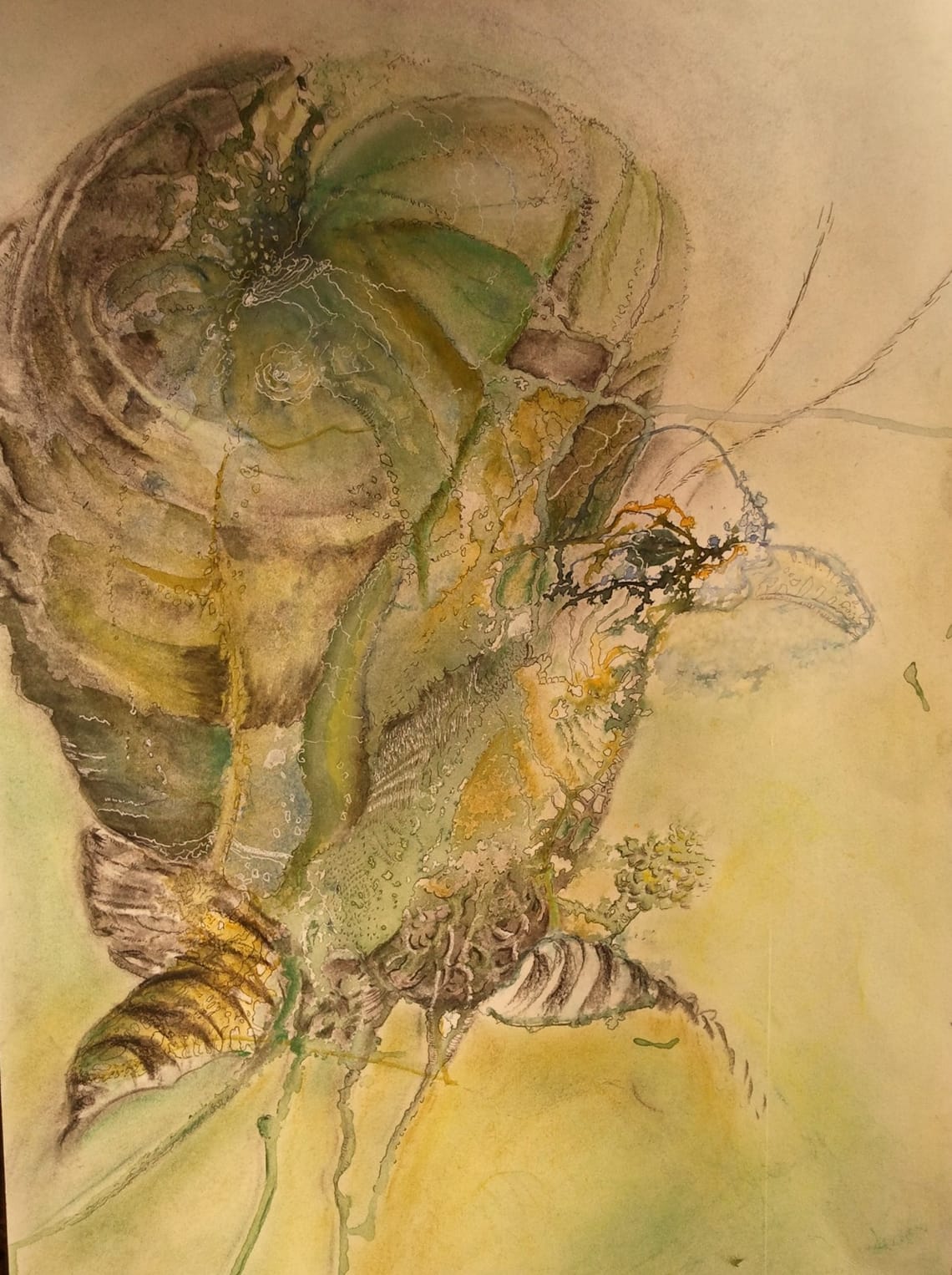 Grønnfugl/ greenbird (SOLD)