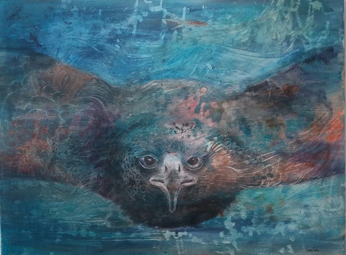 Hav-ørn/ Ocean eagle