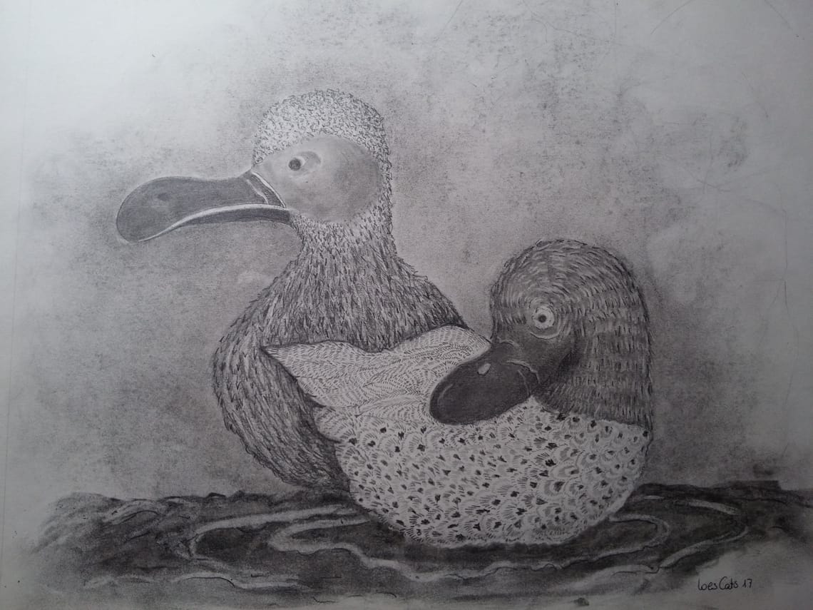 And-and/Duck-duck