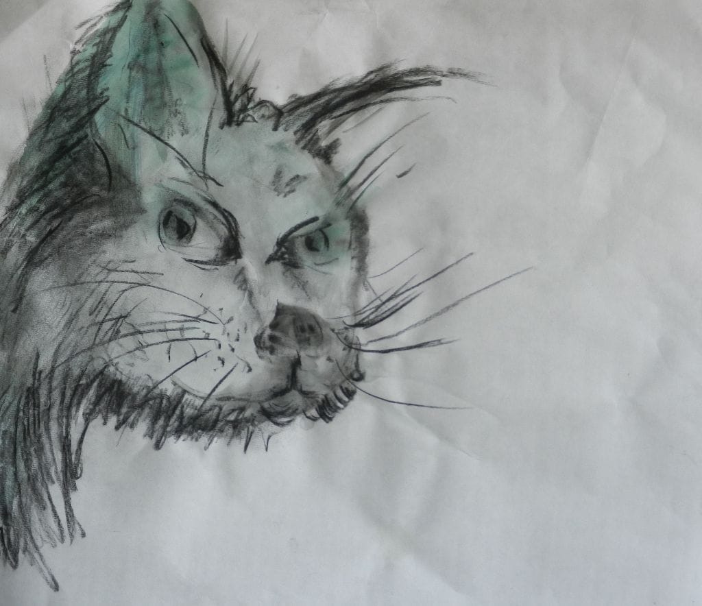 Katten 10 / Cat 10