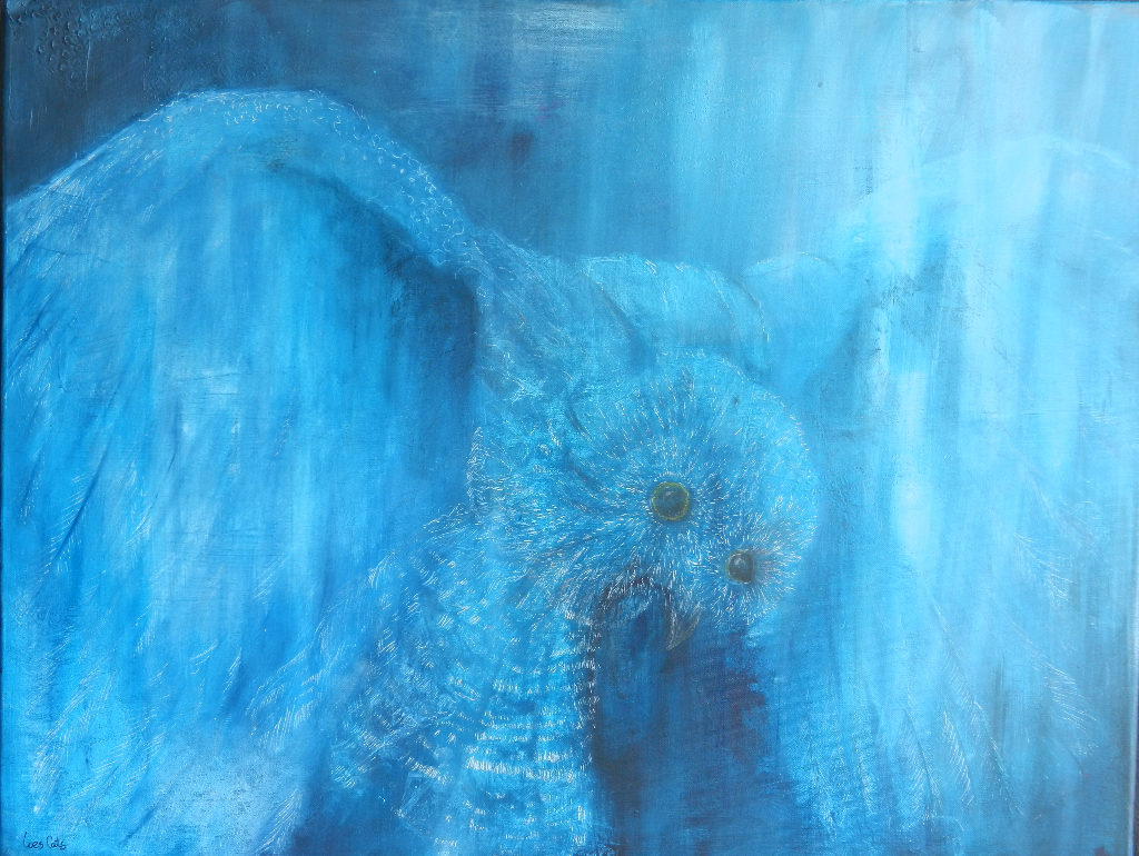 ugle / Owl