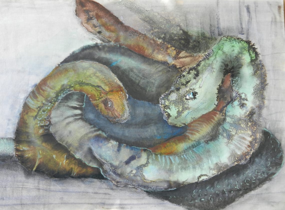 Ormer/ Snakes