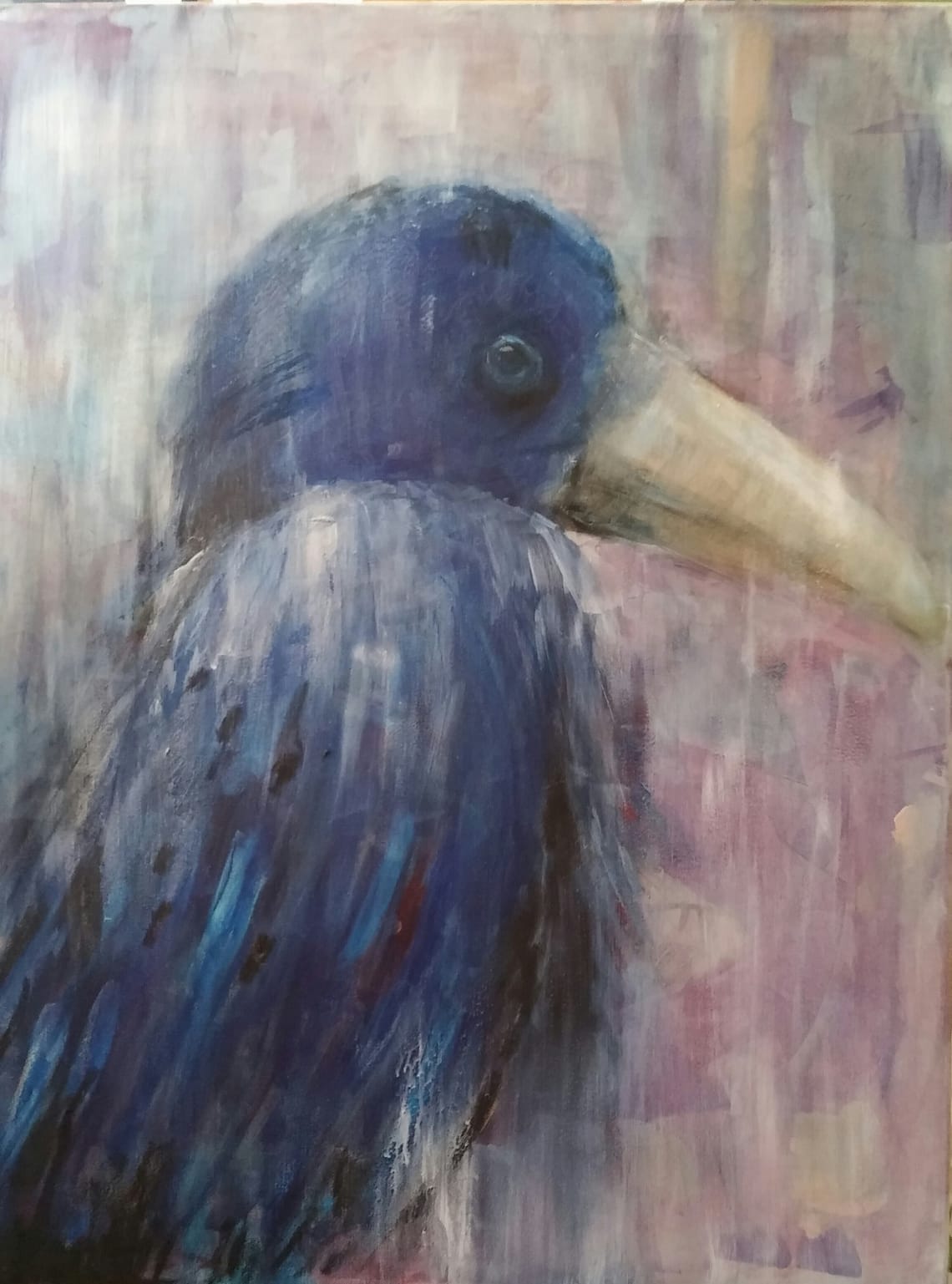 kråkefugl / crow