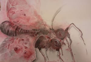 bie/ Bee (SOLD)