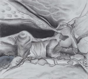 Drømmeren/ Dreamer