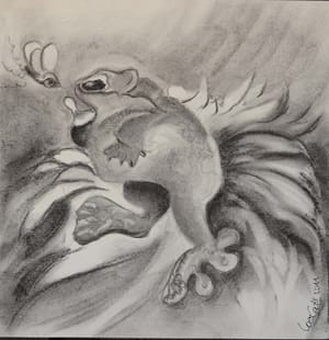 Frosken/ Frog