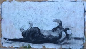 Katten 3 / Cat 3