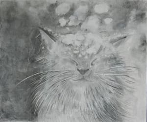 Vinterkatt / Winter cat