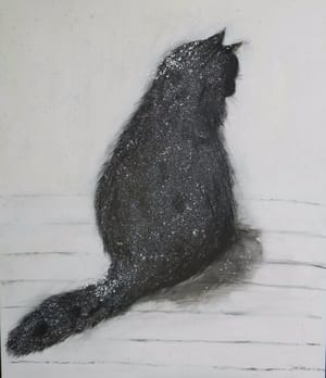Snø-katt / snow-cat