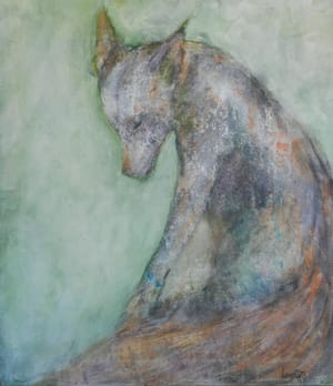 Rødrev/ Fox