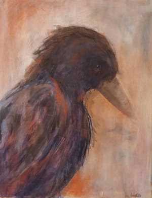 Kråke 3/ Crow 3
