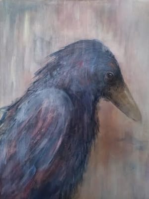 Kråke 1/ Crow 1