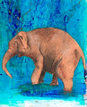 Vann for elefanten / Water for the elephant