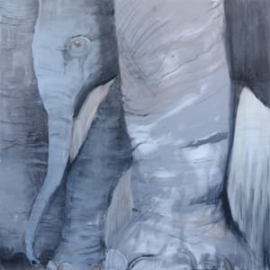 Grå elefant/ Grey elephant