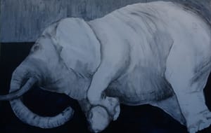 Hvit elefant/ White Elephant