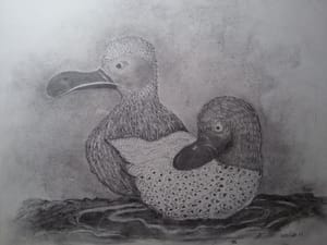 And-and/Duck-duck
