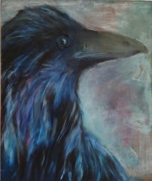 Kråke /Crow