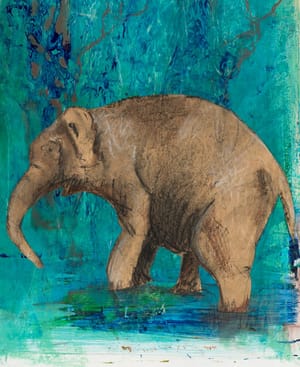 Vann for elefanten / Water for the elephant